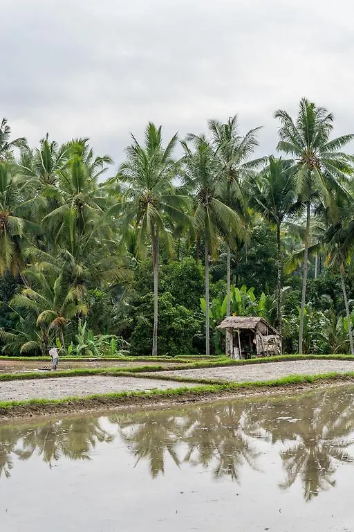 Tunjung Putih Villa Ubud   Ubud (Bali)